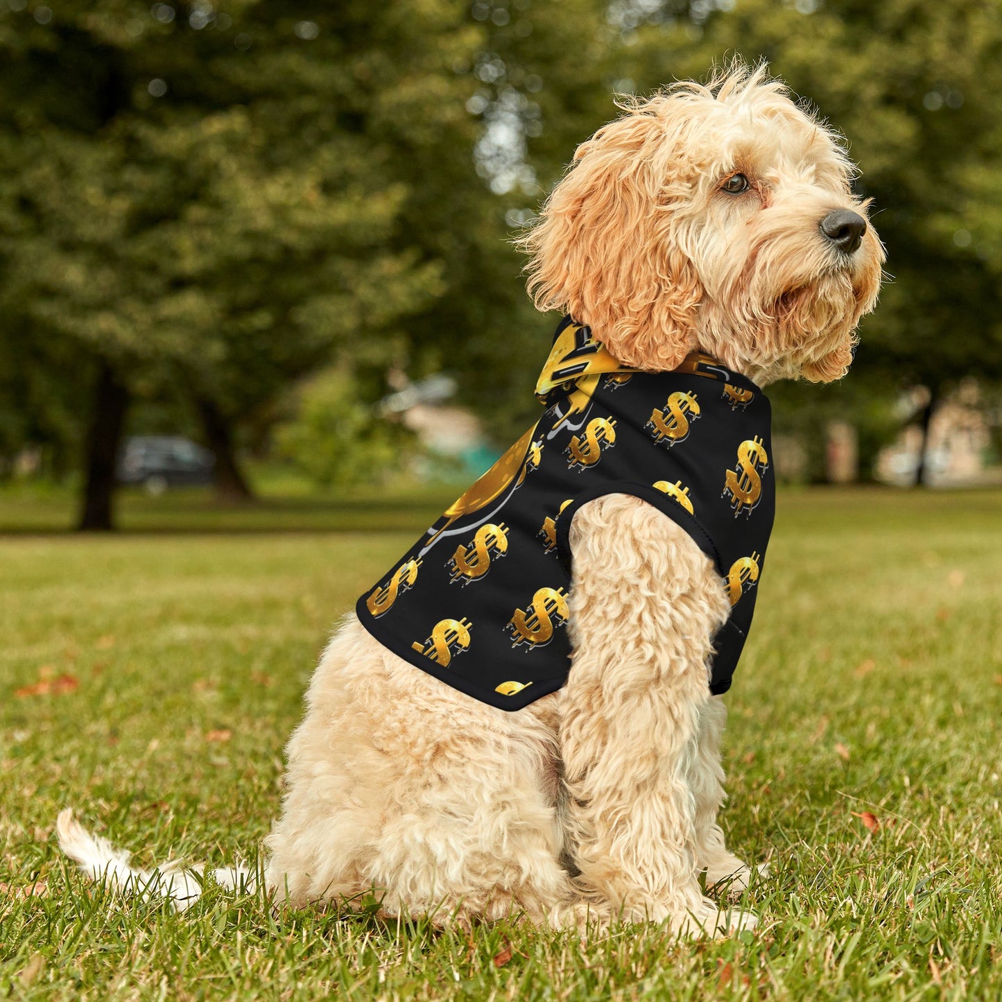 Gold Dollar Sign | Pet Hoodie