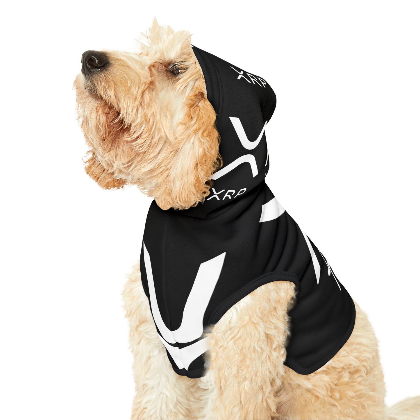 XRP CRPTO - Pet Hoodie