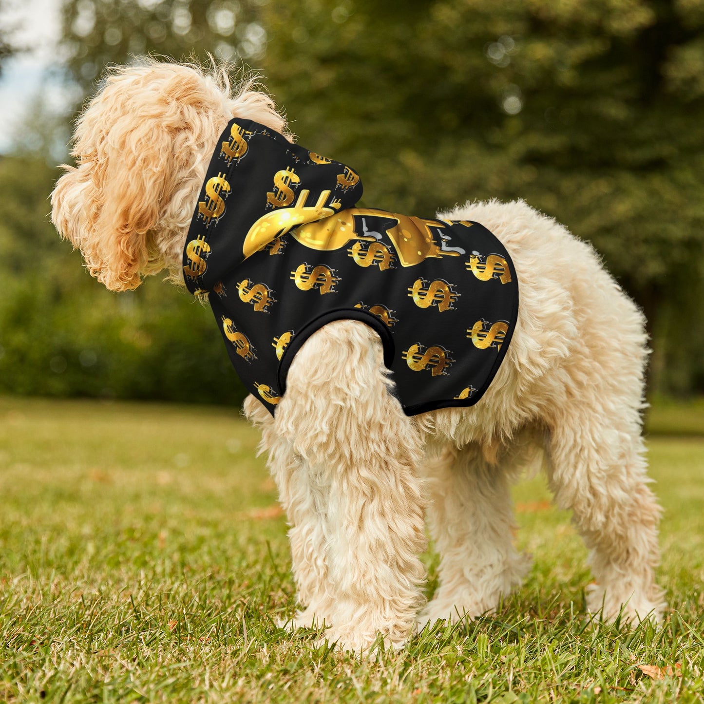 Gold Dollar Sign | Pet Hoodie