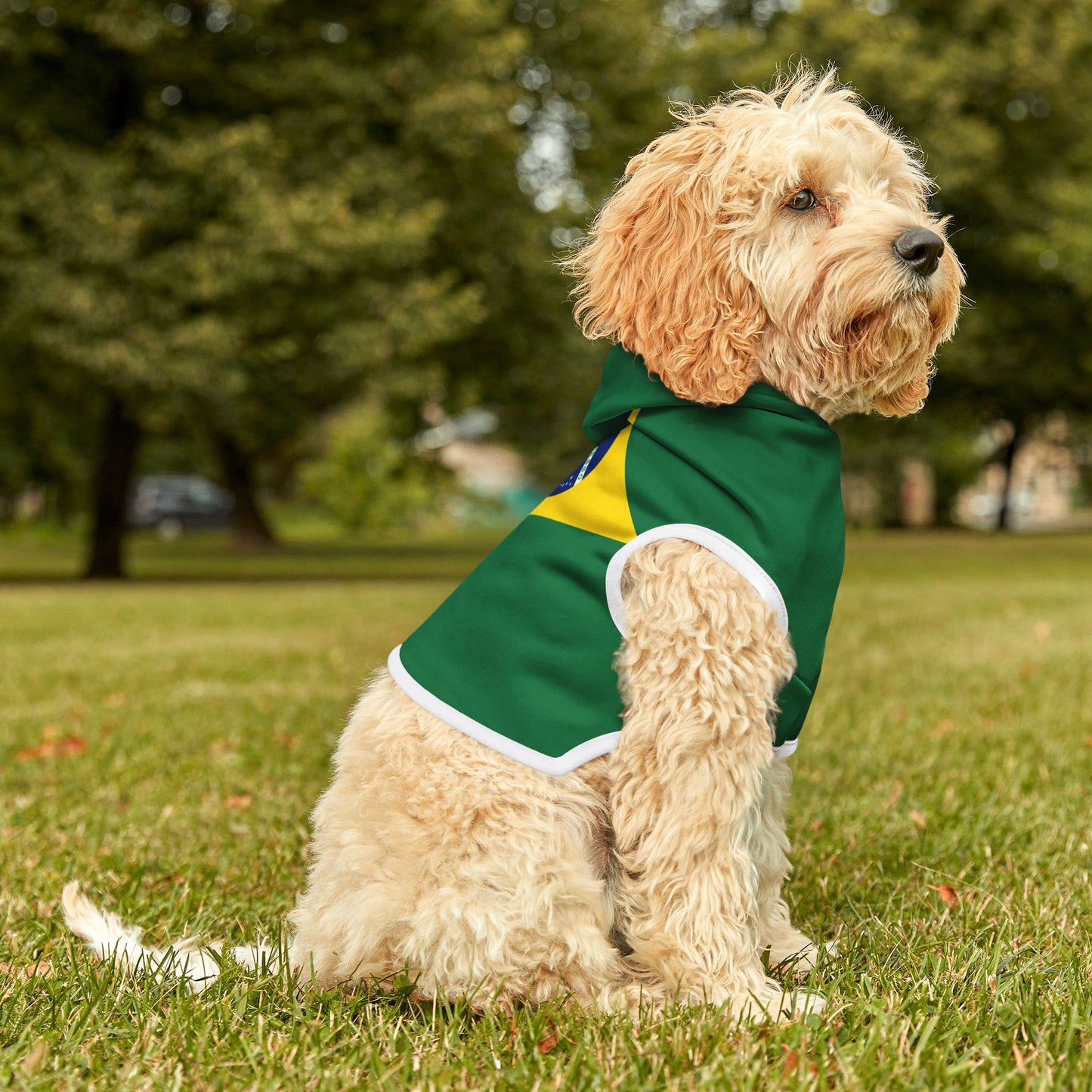 Brazilian Flag - Pet Hoodie