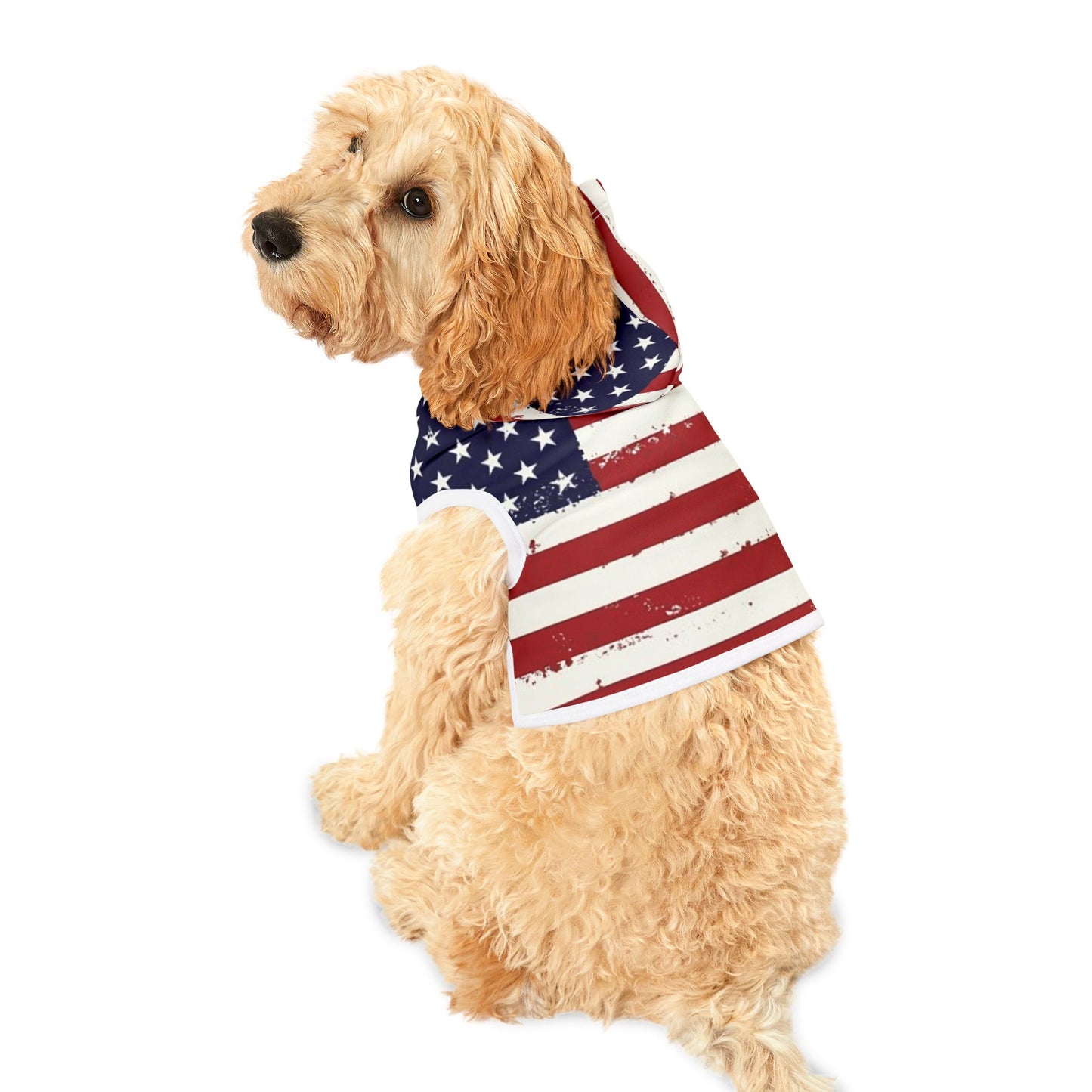 All American - Pet Hoodie