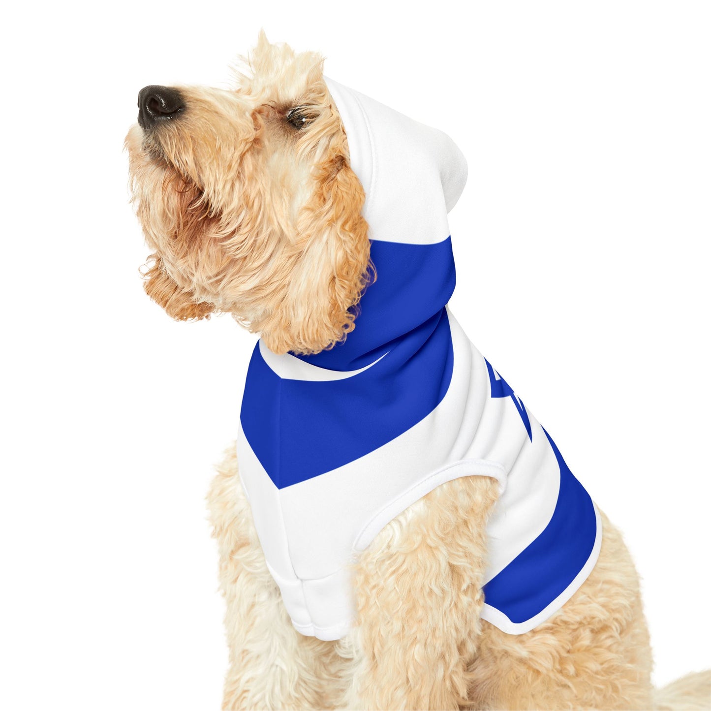 Israel Flag | Pet Hoodie