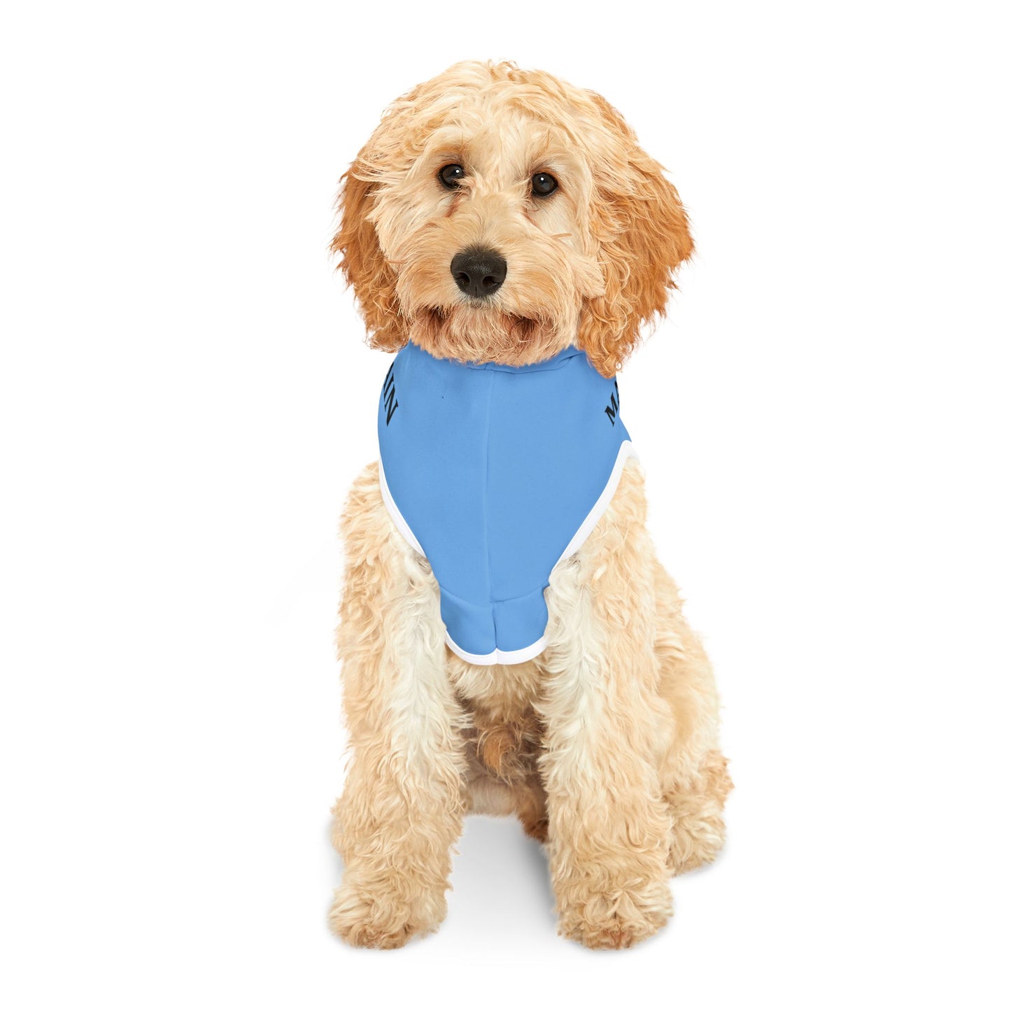 Make Jail Great Again - Pet Hoodie - Anti Trump