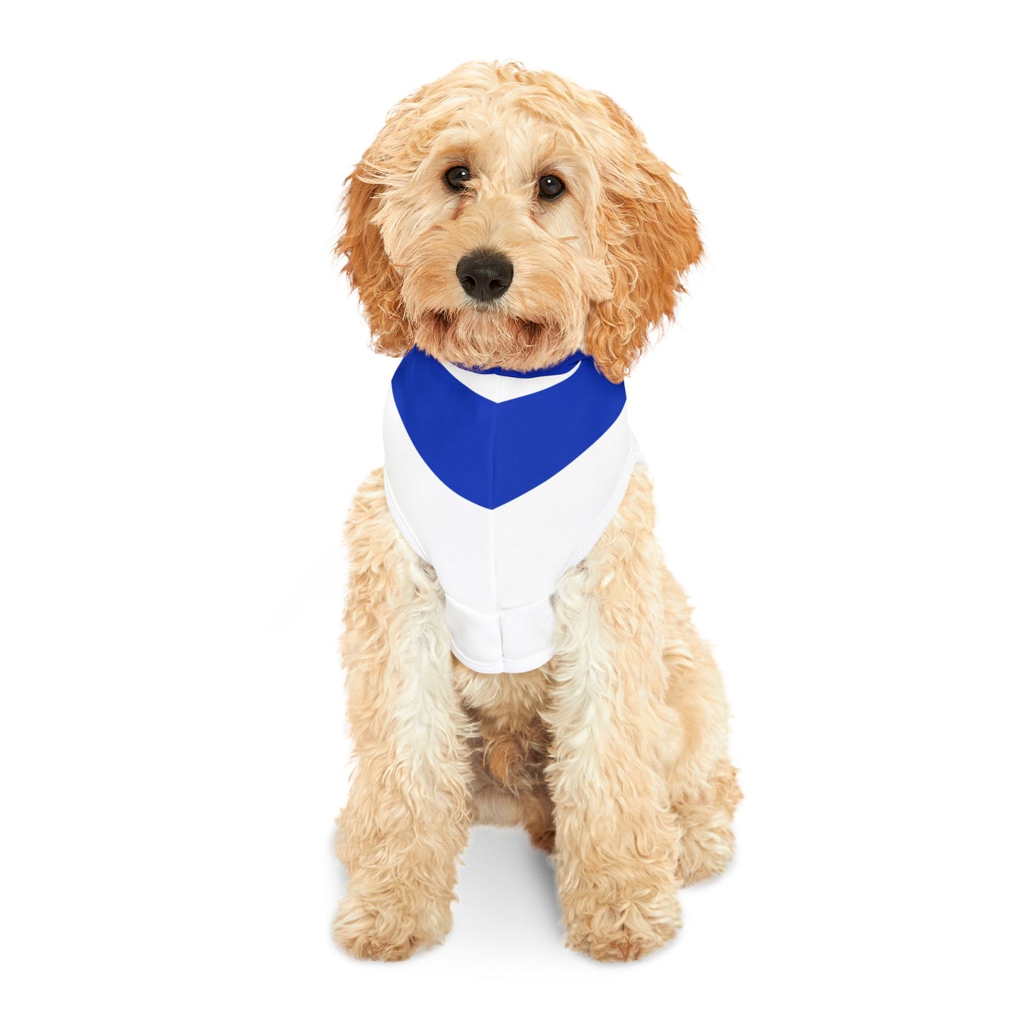 Israel Flag | Pet Hoodie