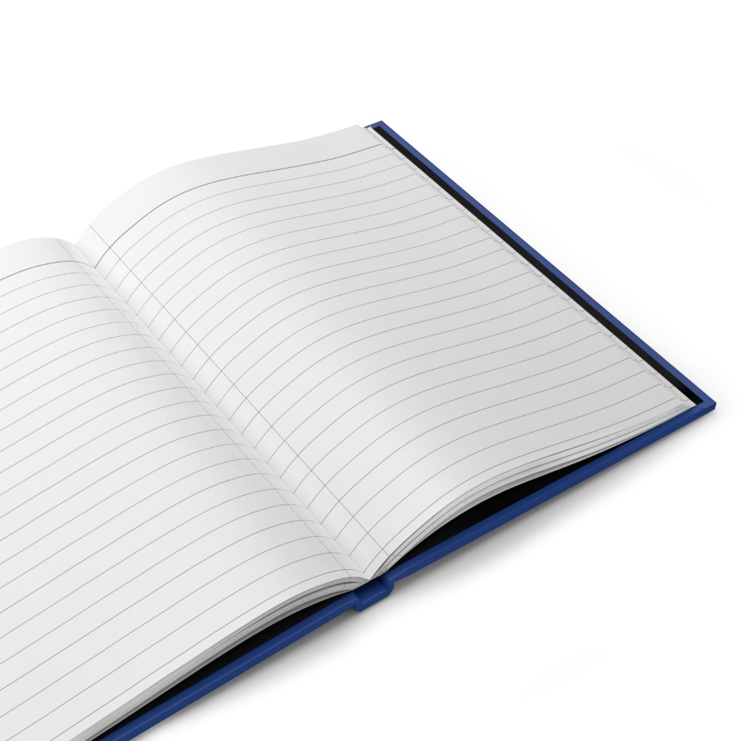 Joe Biden Accomplishments | Not-a-book Journal