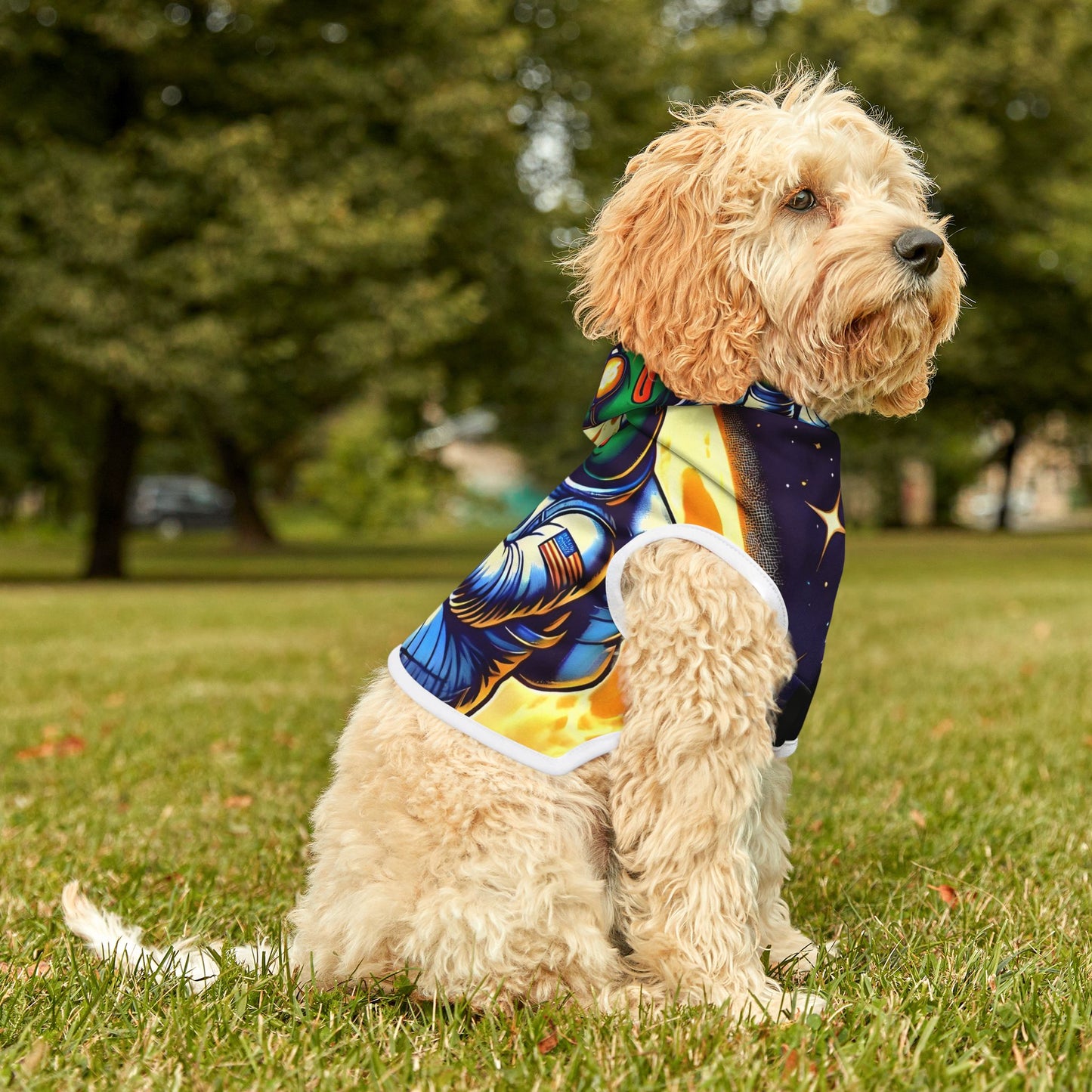 Pepe to the Moon | Pet Hoodie