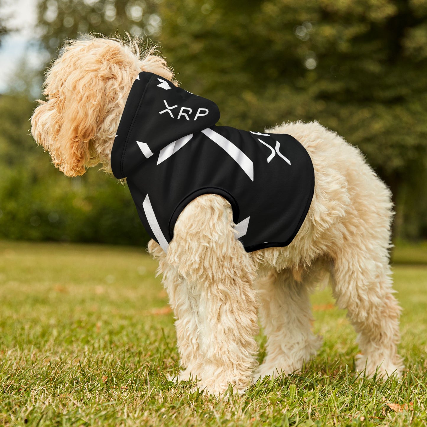 XRP CRPTO - Pet Hoodie
