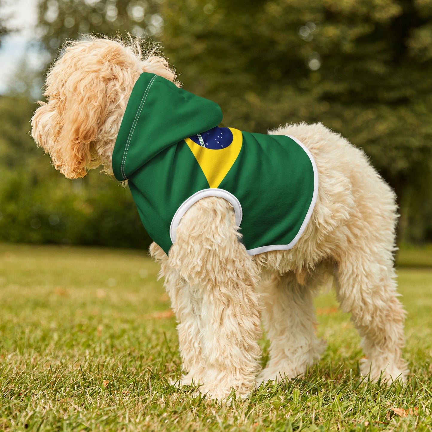 Brazilian Flag - Pet Hoodie