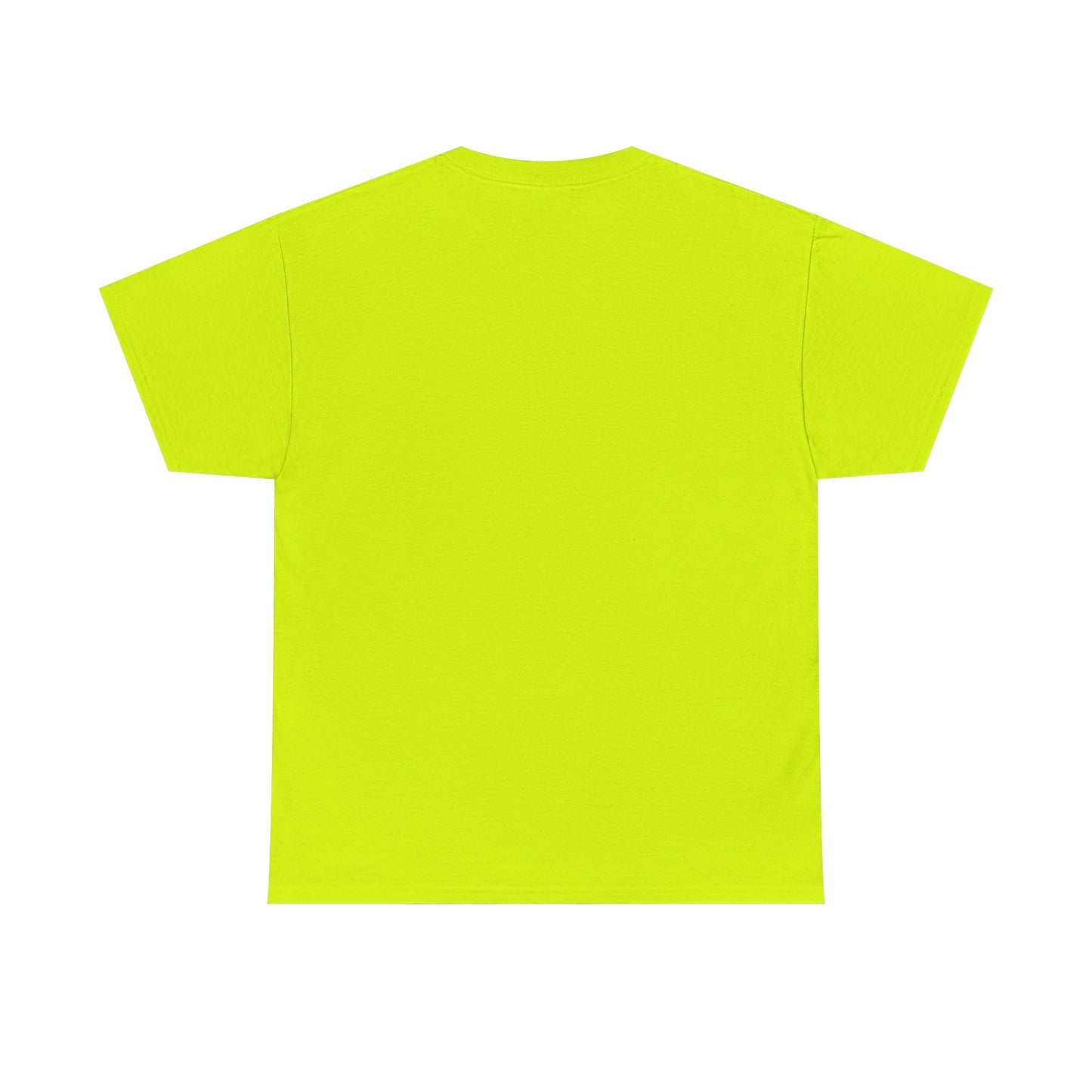 No Kings Graphic Tee | Unisex Heavy Cotton Shirt