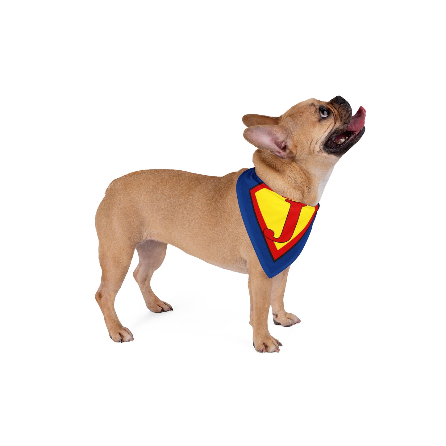 Personalized Superhero | Pet Bandana