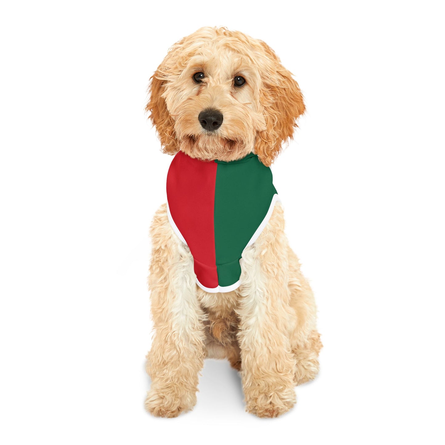 Mexican Flag | Pet Hoodie
