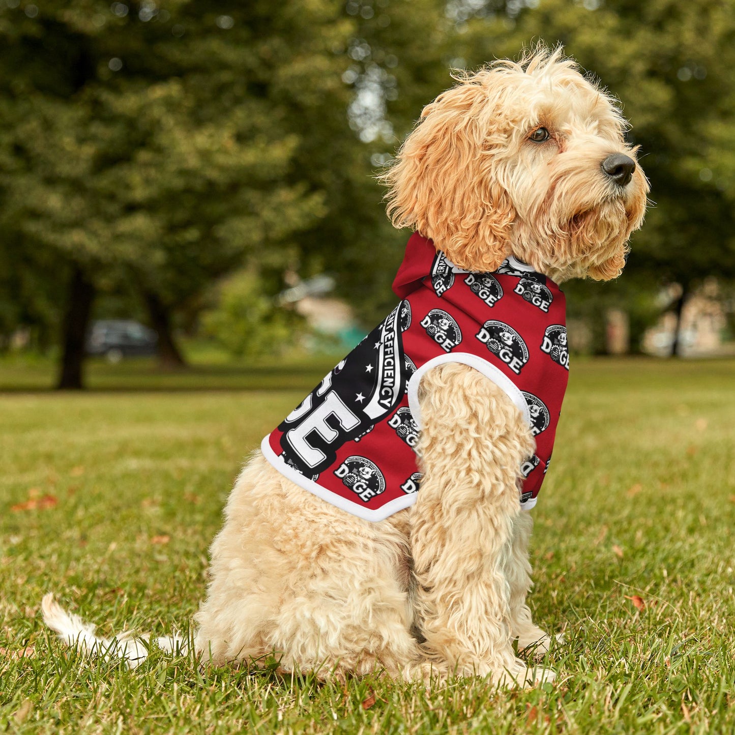 DOGE - Pet Hoodie