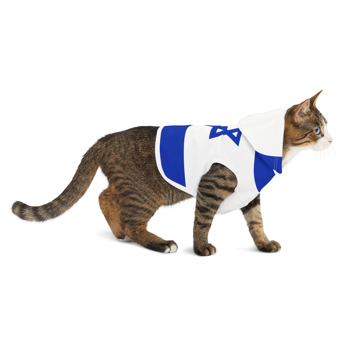 Israel Flag | Pet Hoodie