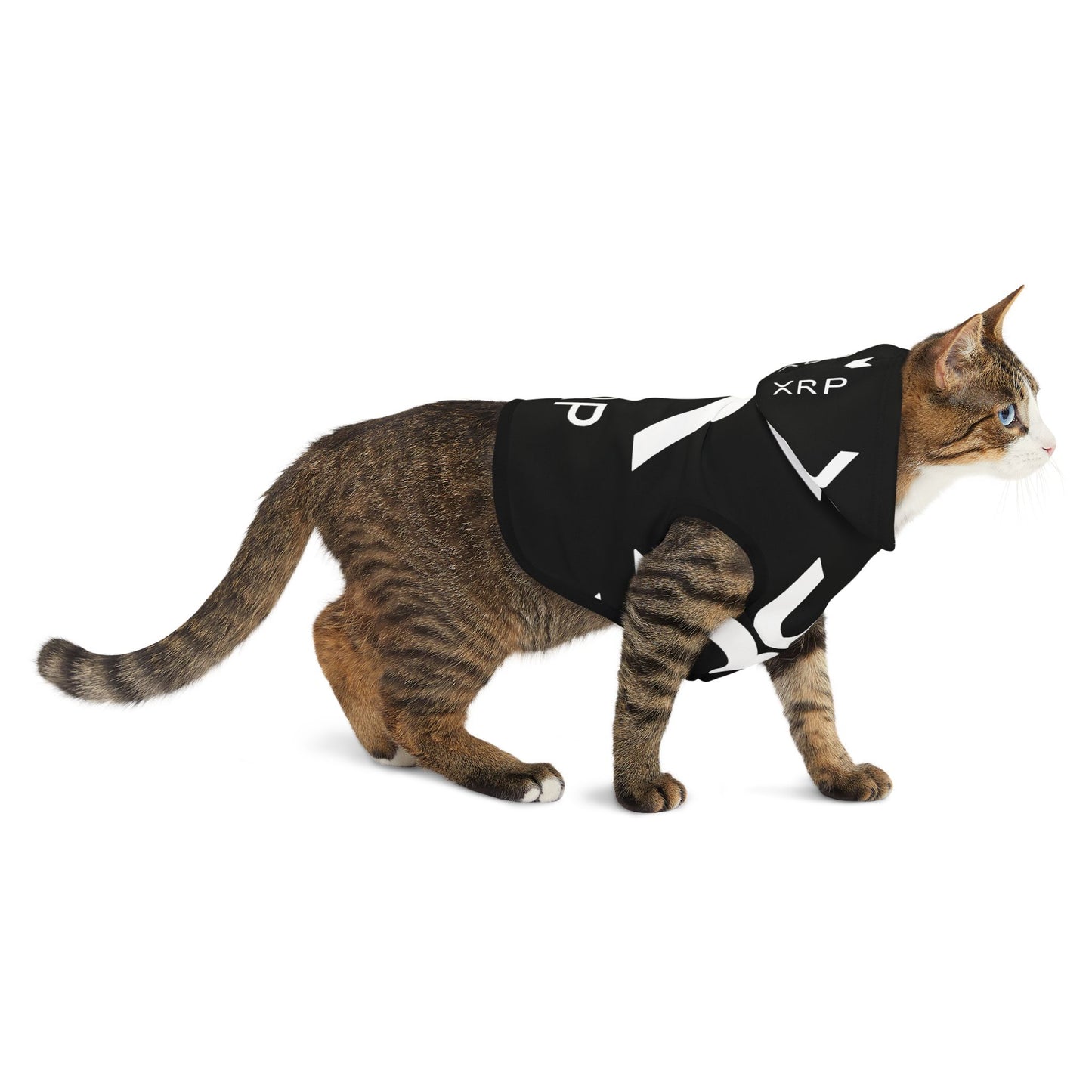 XRP CRPTO - Pet Hoodie