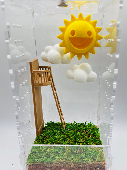 Sun & Clouds | Jumping Spider Decor