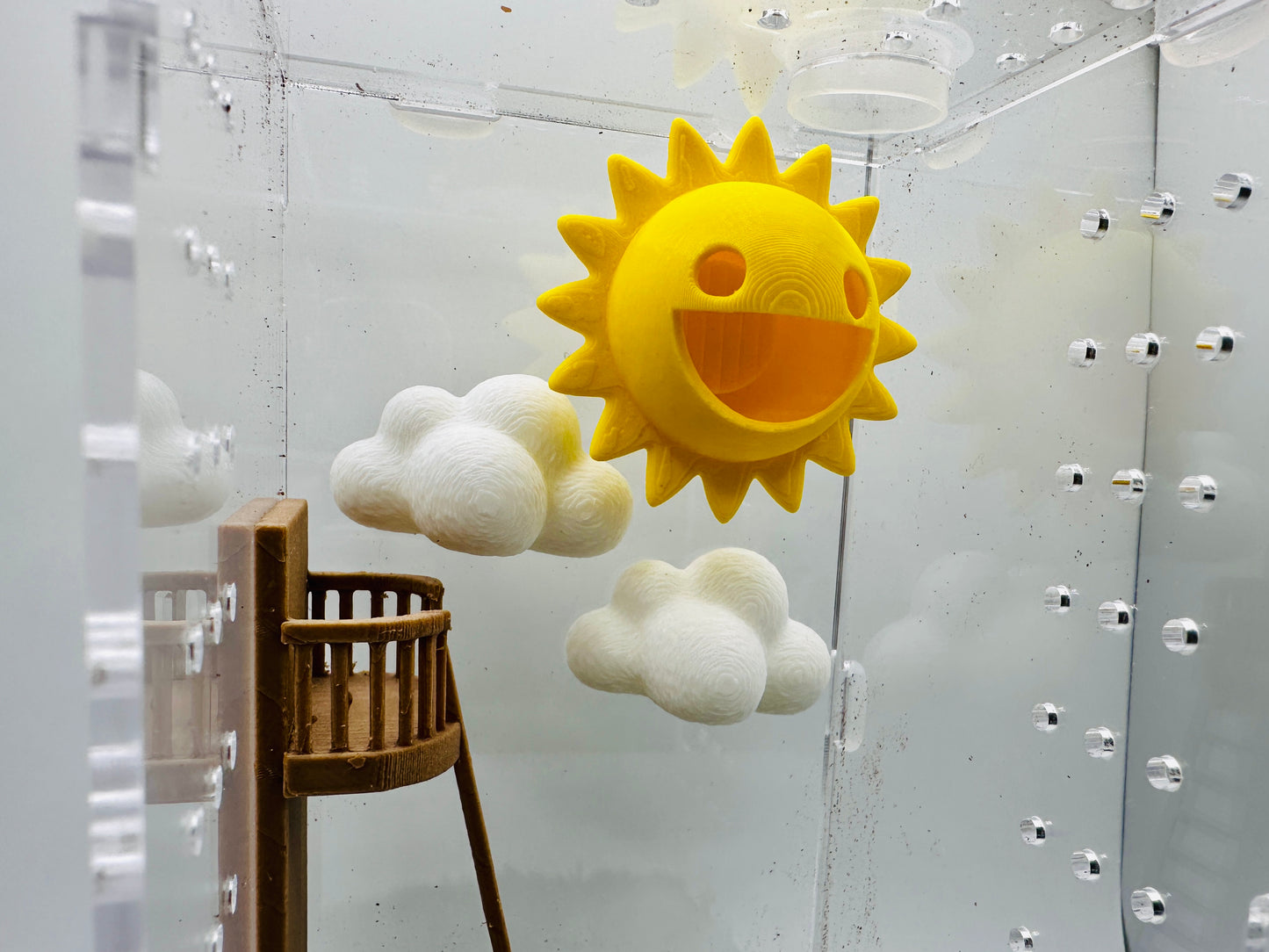 Sun & Clouds | Jumping Spider Decor